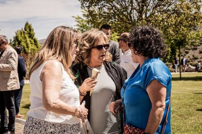 Devoción ante la patrona de Ólvega, la Virgen de Olmacedo