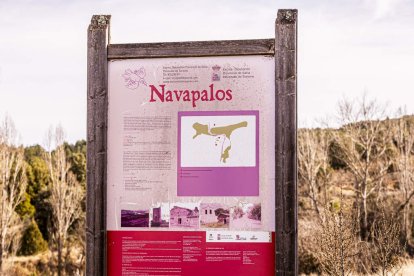 Una paradoja entre la ruina y la innovación en la Soria más profunda