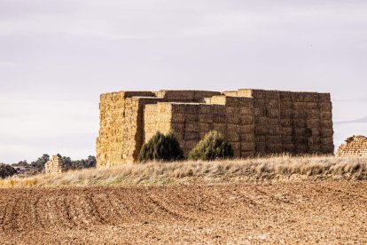 Una paradoja entre la ruina y la innovación en la Soria más profunda