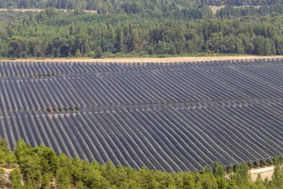 Una paradoja entre la ruina y la innovación en la Soria más profunda