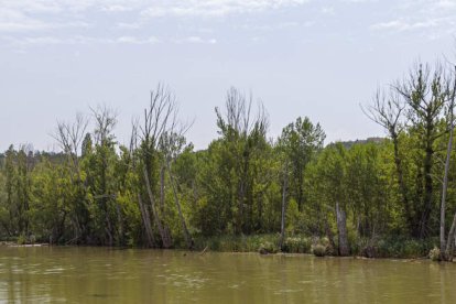 Una paradoja entre la ruina y la innovación en la Soria más profunda