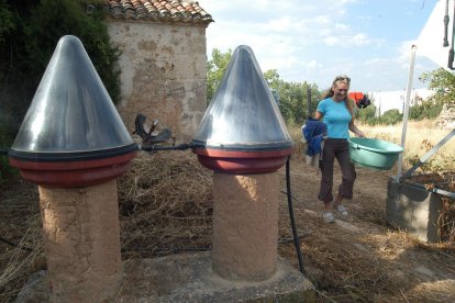 Un vistazo al Navapalos de hace más de dos décadas
