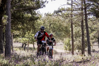 La Ruta del Nískalo recorrió la comarca de El Burgo de Osma