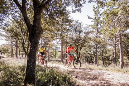 La Ruta del Nískalo recorrió la comarca de El Burgo de Osma