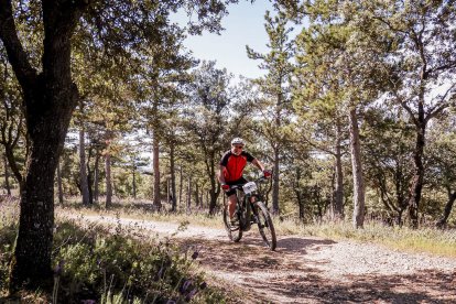 La Ruta del Nískalo recorrió la comarca de El Burgo de Osma
