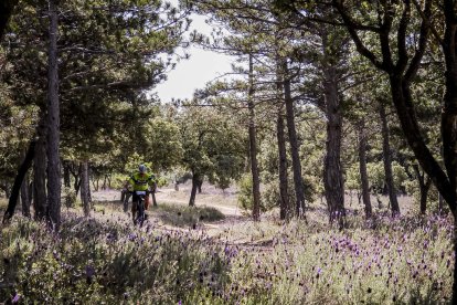 La Ruta del Nískalo recorrió la comarca de El Burgo de Osma