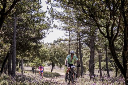 La Ruta del Nískalo recorrió la comarca de El Burgo de Osma
