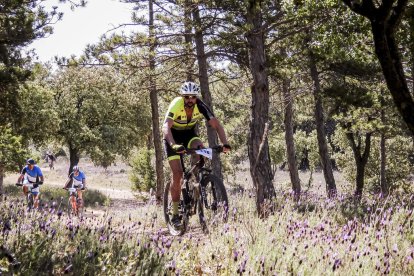 La Ruta del Nískalo recorrió la comarca de El Burgo de Osma