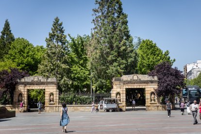 Primavera y sol de media mañana en la Dehesa de Soria.