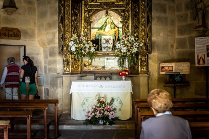 Primavera y sol de media mañana en la Dehesa de Soria.