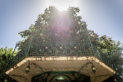 Primavera y sol de media mañana en la Dehesa de Soria.