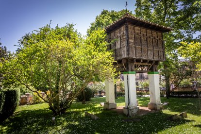 Primavera y sol de media mañana en la Dehesa de Soria.
