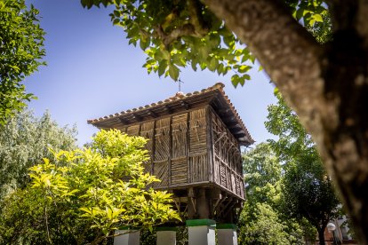 Primavera y sol de media mañana en la Dehesa de Soria.