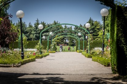 Primavera y sol de media mañana en la Dehesa de Soria.