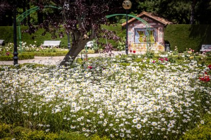 Primavera y sol de media mañana en la Dehesa de Soria.