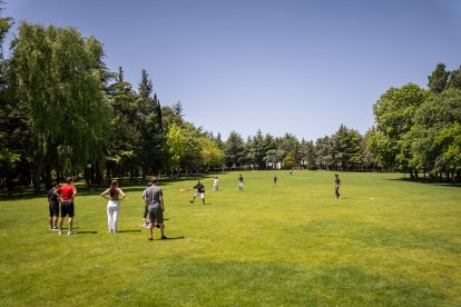 Primavera y sol de media mañana en la Dehesa de Soria.