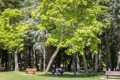 Primavera y sol de media mañana en la Dehesa de Soria.