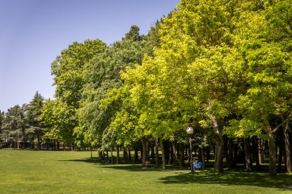 Primavera y sol de media mañana en la Dehesa de Soria.