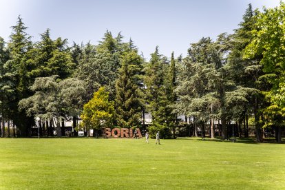 Primavera y sol de media mañana en la Dehesa de Soria.