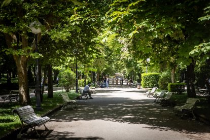 Primavera y sol de media mañana en la Dehesa de Soria.