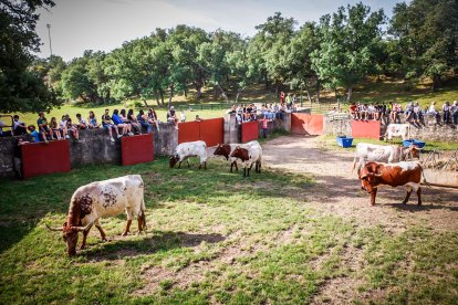 Pistoletazo de salida en el monte con los grandes protagonistas de las fiestas de San Juan.