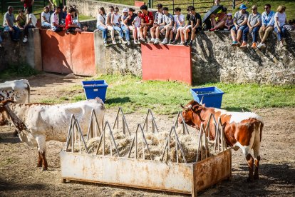 Pistoletazo de salida en el monte con los grandes protagonistas de las fiestas de San Juan.