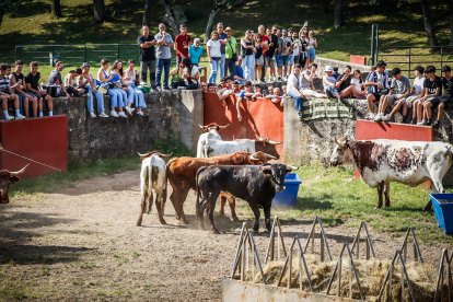 Pistoletazo de salida en el monte con los grandes protagonistas de las fiestas de San Juan.