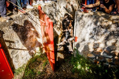 Pistoletazo de salida en el monte con los grandes protagonistas de las fiestas de San Juan.