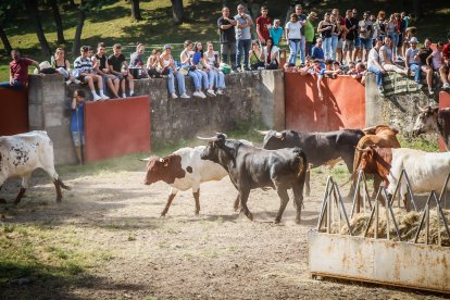Pistoletazo de salida en el monte con los grandes protagonistas de las fiestas de San Juan.