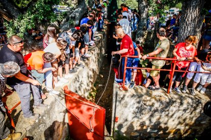 Pistoletazo de salida en el monte con los grandes protagonistas de las fiestas de San Juan.