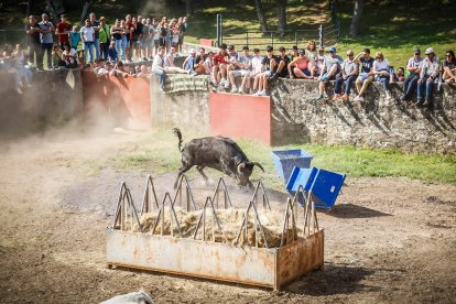 Pistoletazo de salida en el monte con los grandes protagonistas de las fiestas de San Juan.