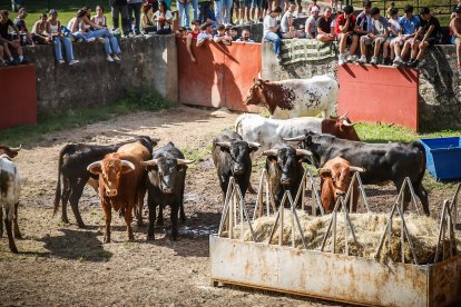 Pistoletazo de salida en el monte con los grandes protagonistas de las fiestas de San Juan.