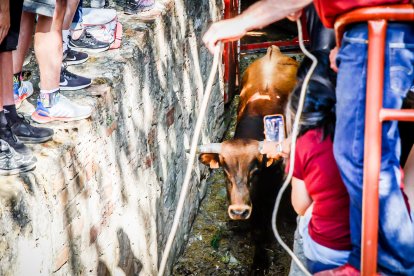 Pistoletazo de salida en el monte con los grandes protagonistas de las fiestas de San Juan.