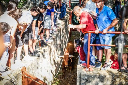 Pistoletazo de salida en el monte con los grandes protagonistas de las fiestas de San Juan.
