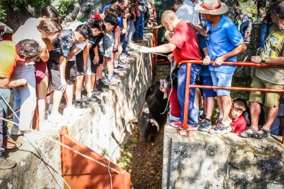 Pistoletazo de salida en el monte con los grandes protagonistas de las fiestas de San Juan.