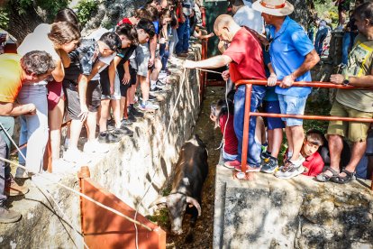 Pistoletazo de salida en el monte con los grandes protagonistas de las fiestas de San Juan.