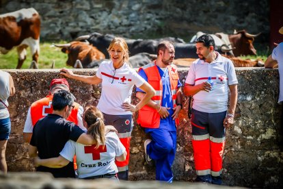 Pistoletazo de salida en el monte con los grandes protagonistas de las fiestas de San Juan.