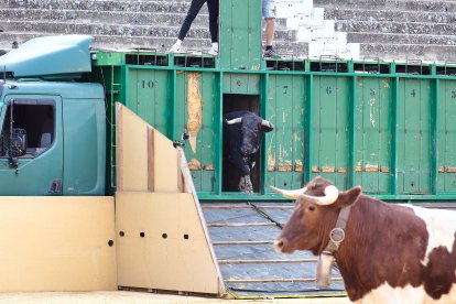 Puntualidad y trece toros en el coso de San Benito.