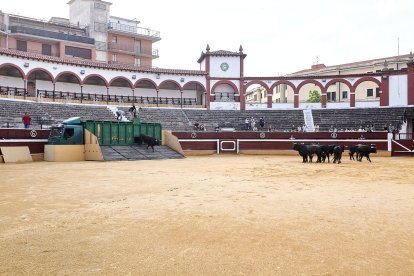 Puntualidad y trece toros en el coso de San Benito.