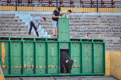 Puntualidad y trece toros en el coso de San Benito.