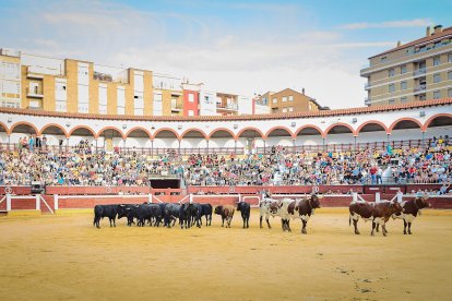 Puntualidad y trece toros en el coso de San Benito.