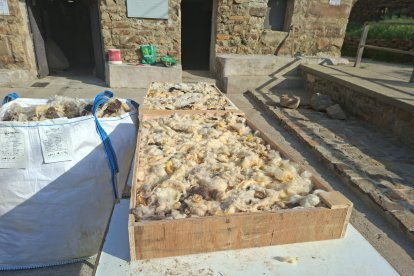 La Asociación de Amigos reconstruye un edificio, poniendo lana como aislante natural.