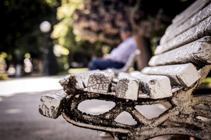 Un estado lamentable el que presentan numerosos bancos de la Dehesa