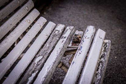 Un estado lamentable el que presentan numerosos bancos de la Dehesa