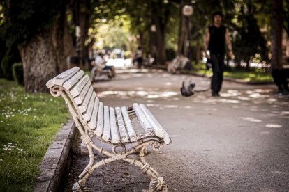Un estado lamentable el que presentan numerosos bancos de la Dehesa
