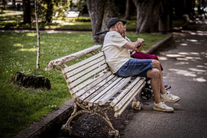 Un estado lamentable el que presentan numerosos bancos de la Dehesa