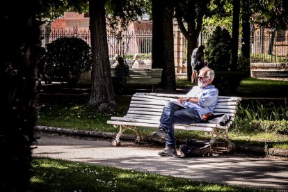 Un estado lamentable el que presentan numerosos bancos de la Dehesa