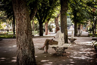 Un estado lamentable el que presentan numerosos bancos de la Dehesa