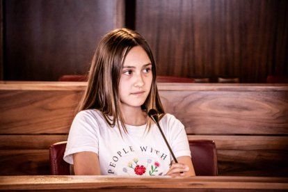 Los presupuestos infantiles de este año irán para: Laberinto de autores