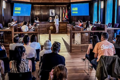 Los presupuestos infantiles de este año irán para: Laberinto de autores